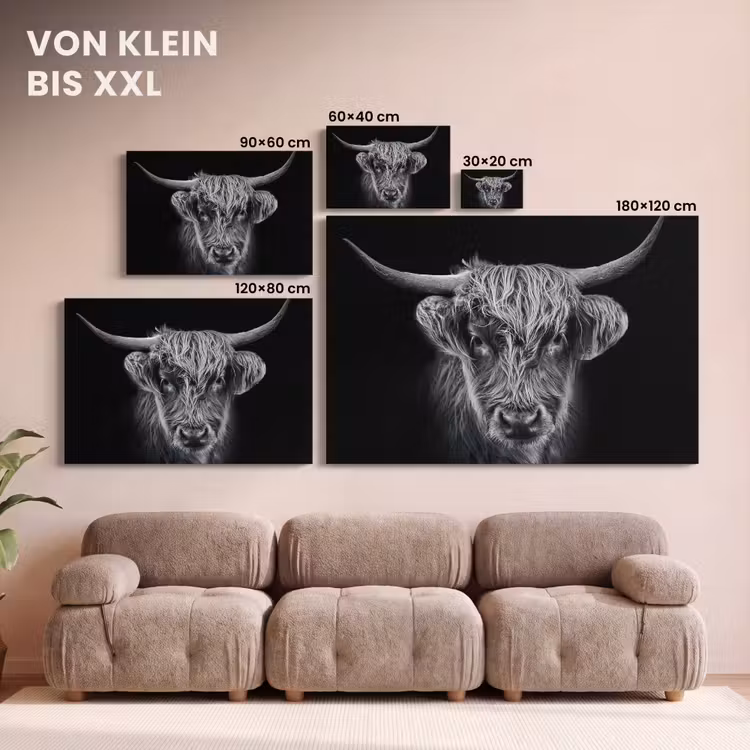 Leinwandbild - Schottischer Highlander - Schwarz - Kuh - Tiere — 6