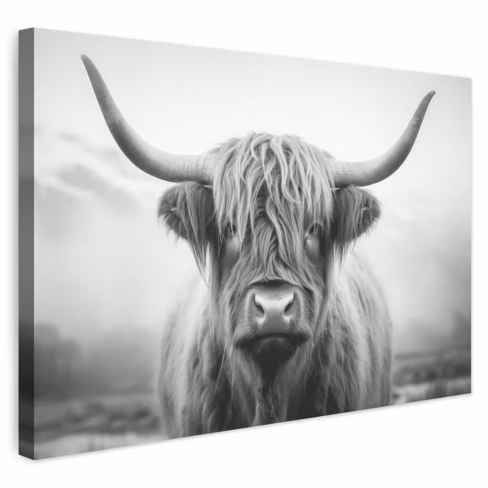 Leinwandbild - Schottischer Highlander - Nebel - Schwarz - Weiß — 1