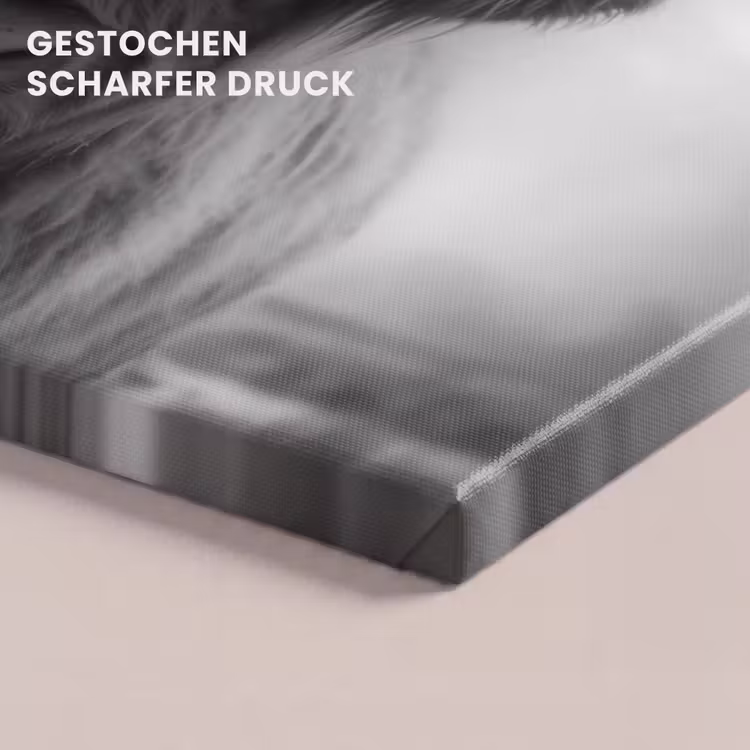 Leinwandbild - Schottischer Highlander - Nebel - Schwarz - Weiß — 4