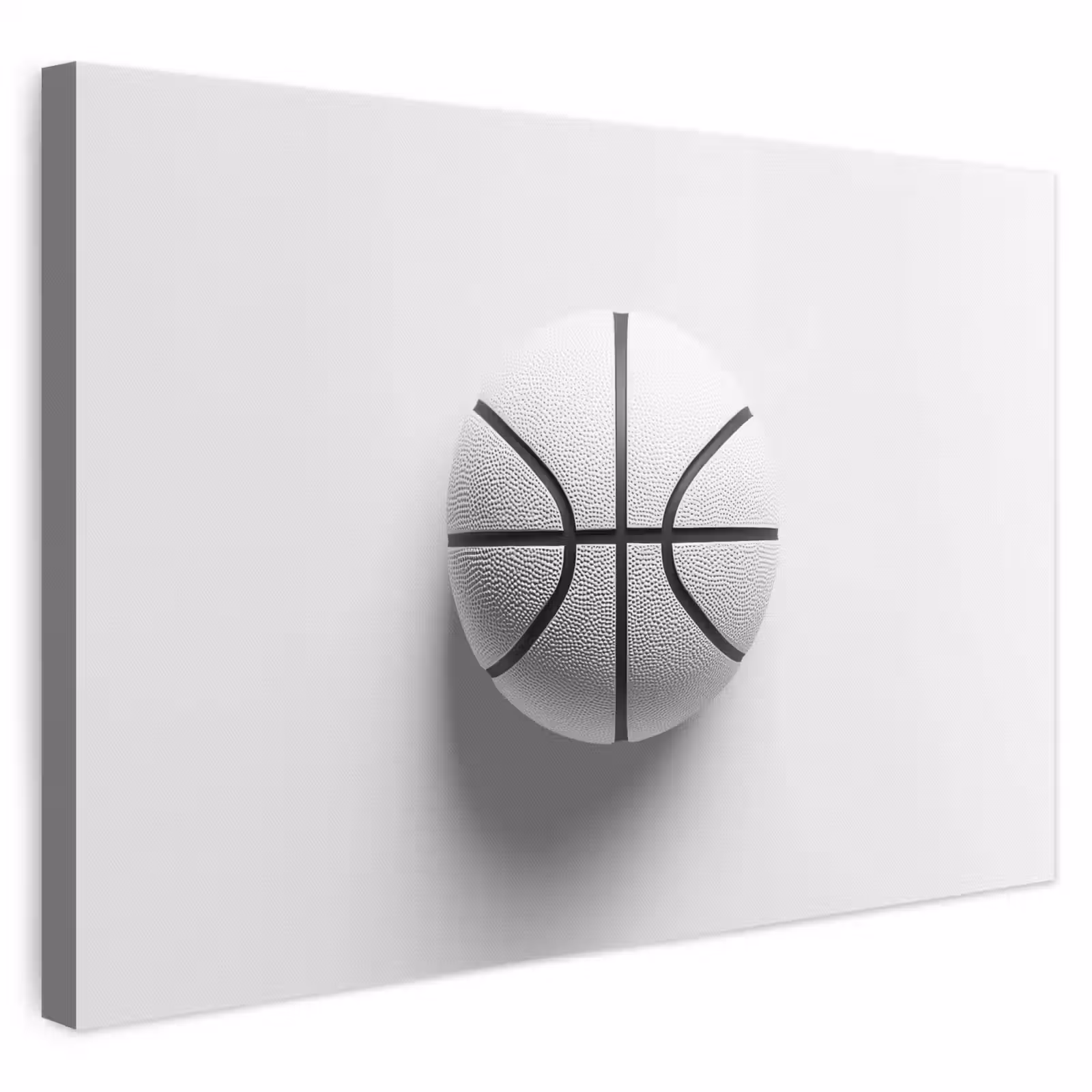 Leinwandbild - Basketball - Weiß - Schatten - Linien — 1