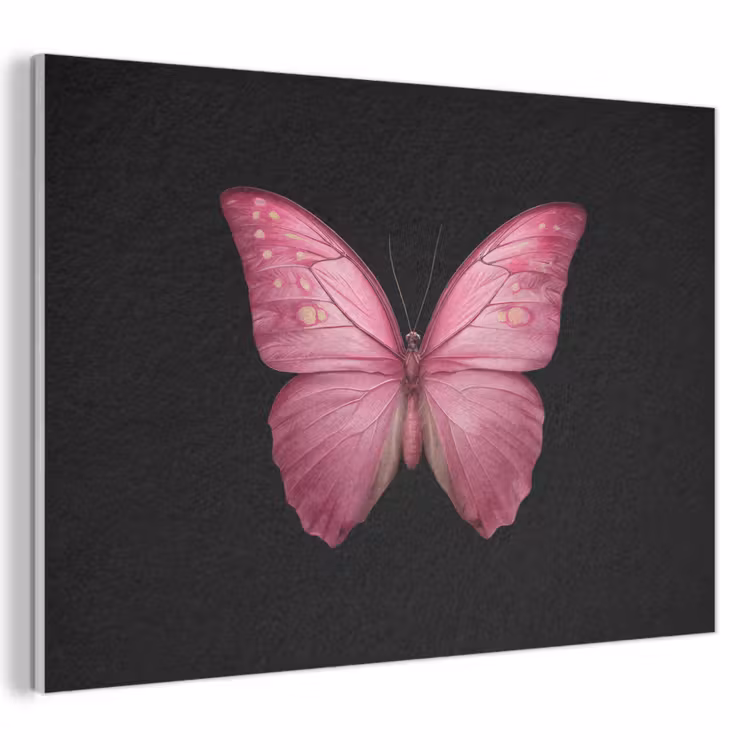Akustikbild - Schmetterling - Rosa - Elegant — 1