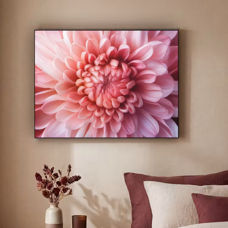 Art Frame - Dahlie - Blume - Nahaufnahme - Rosa — 2
