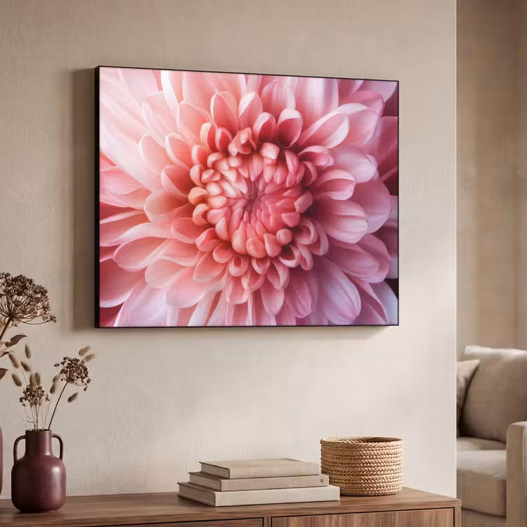 Art Frame - Dahlie - Blume - Nahaufnahme - Rosa — 3