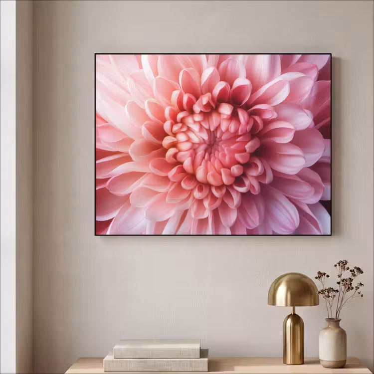 Art Frame - Dahlie - Blume - Nahaufnahme - Rosa — 4