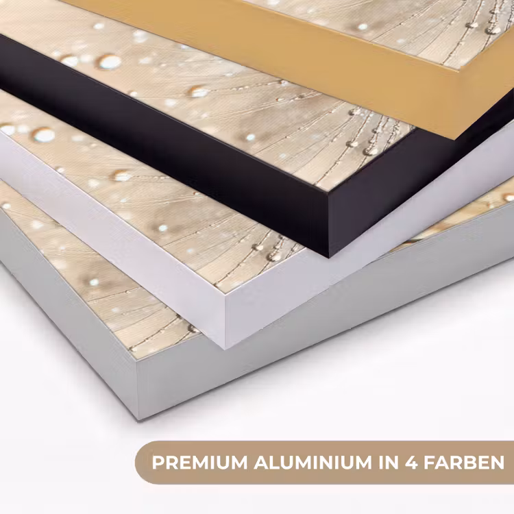 Art Frame - Löwenzahn - Abstrakt - Natur - Beige — 5