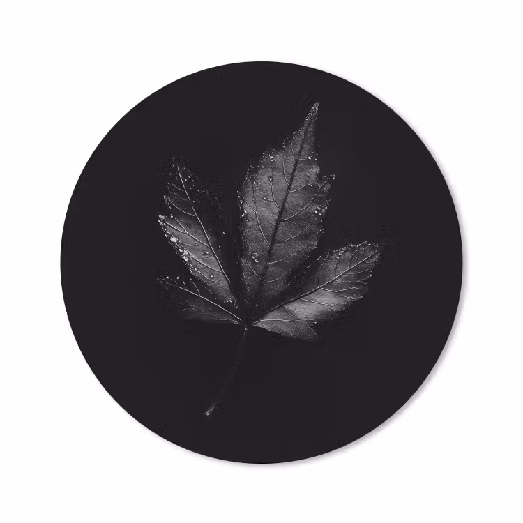 Mauspad - Schwarz - Klinge — 1