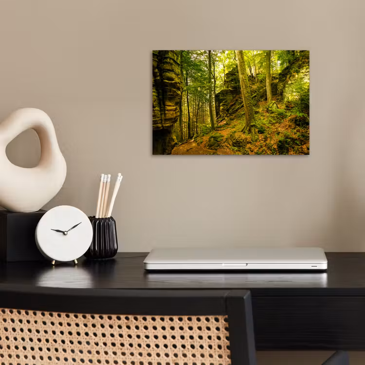Poster - Bäume - Stein - Wald - Natur - Pflanzen — 2