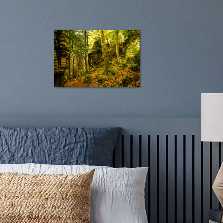 Poster - Bäume - Stein - Wald - Natur - Pflanzen — 3