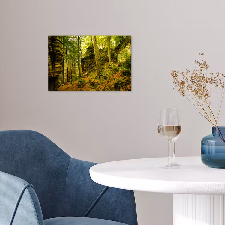 Poster - Bäume - Stein - Wald - Natur - Pflanzen — 4