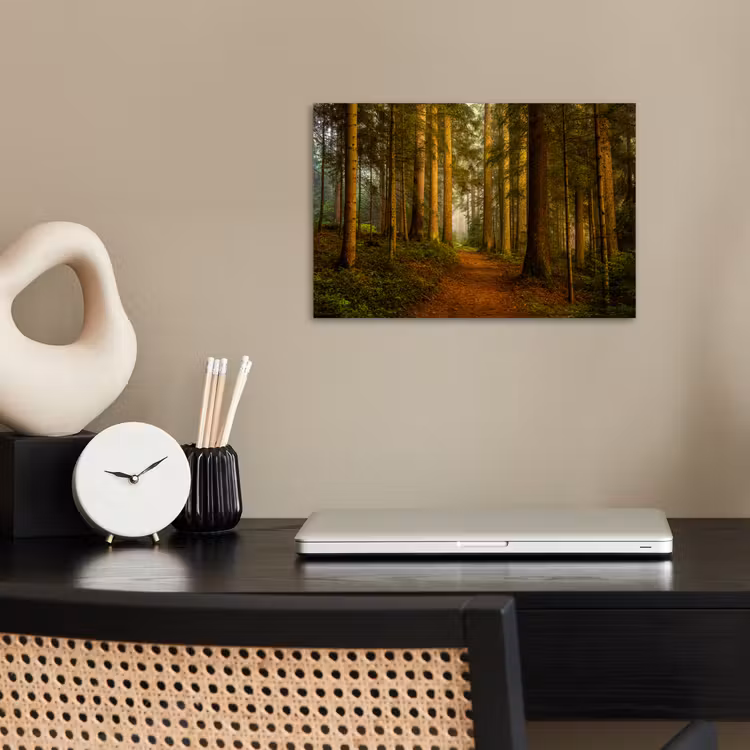 Poster - Wald - Natur - Bäume - Landschaft - Laub — 2