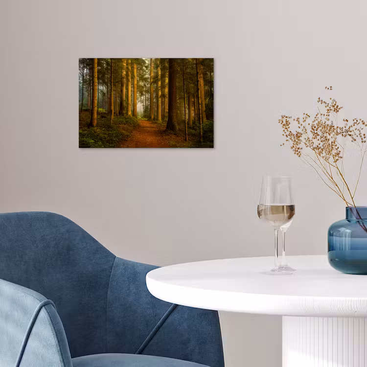 Poster - Wald - Natur - Bäume - Landschaft - Laub — 4