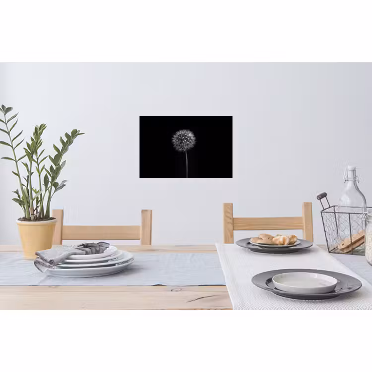 Wandtattoo – Löwenzahn - Schwarz - Floral - Botanisch — 4