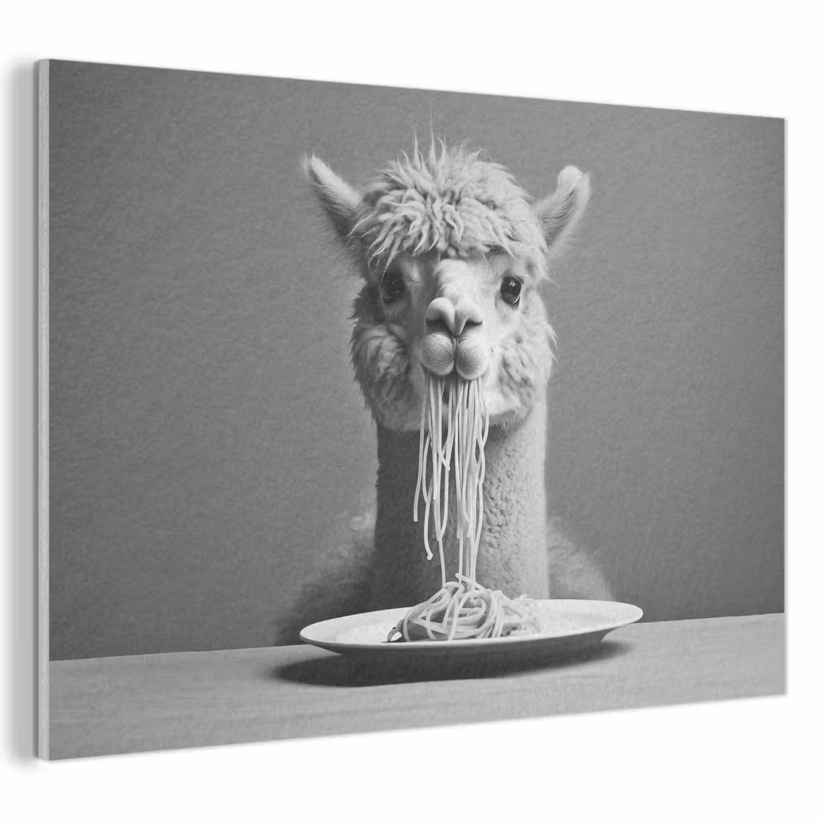 Akustikbild - Alpaka - Nudeln - Schwarz - Weiß - Lustig - Tiere — 1