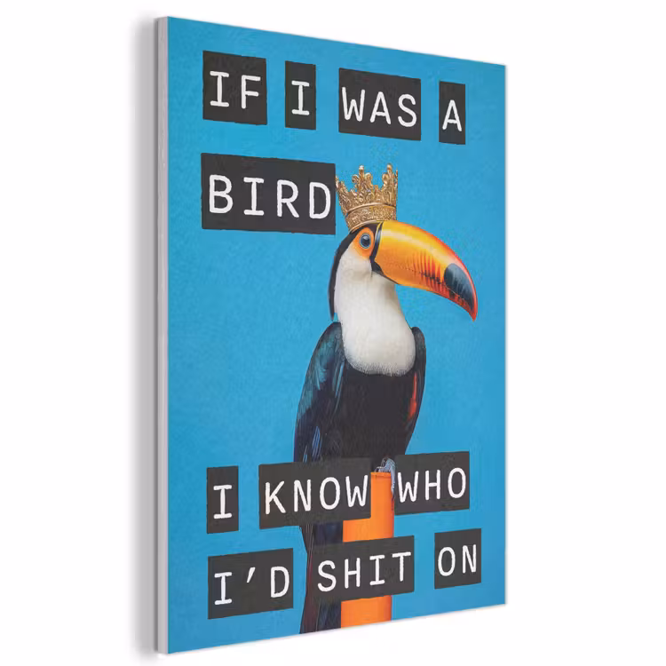 Akustikbild - Vogel - Tukan - Blau - Zitate — 1