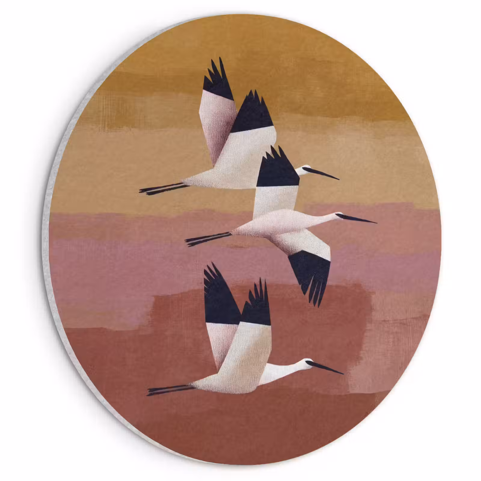 Akustikbild - Rund - Vögel - Schnabel - Abstrakt — 1