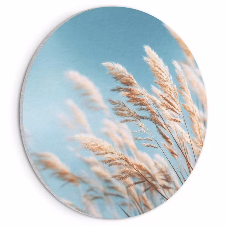 Akustikbild - Rund - Ziergras - Wind - Hellbraun — 1