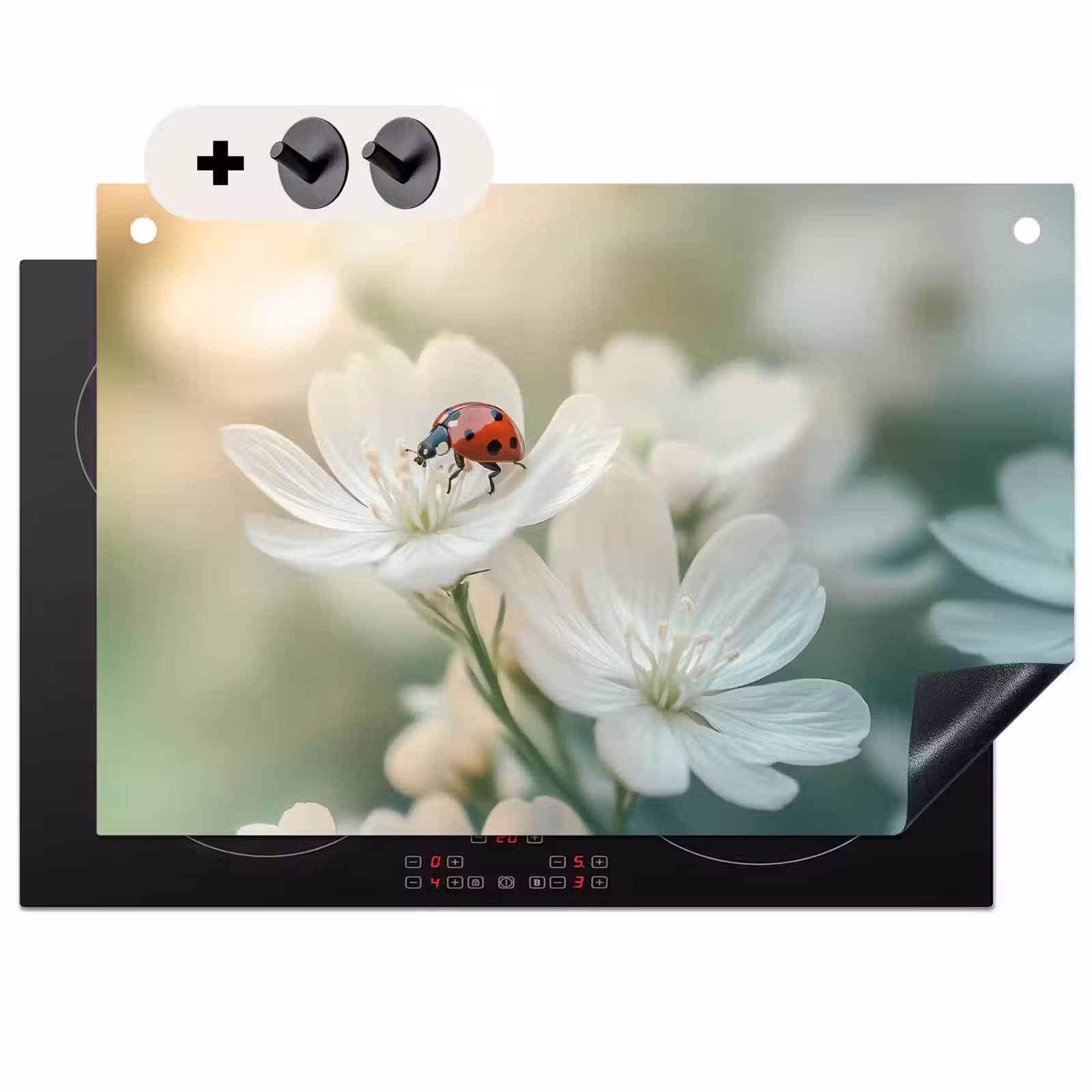 2-in-1 Herdabdeckplatte & Spritzschutz - Marienkäfer - Blumen - Weiß — 1