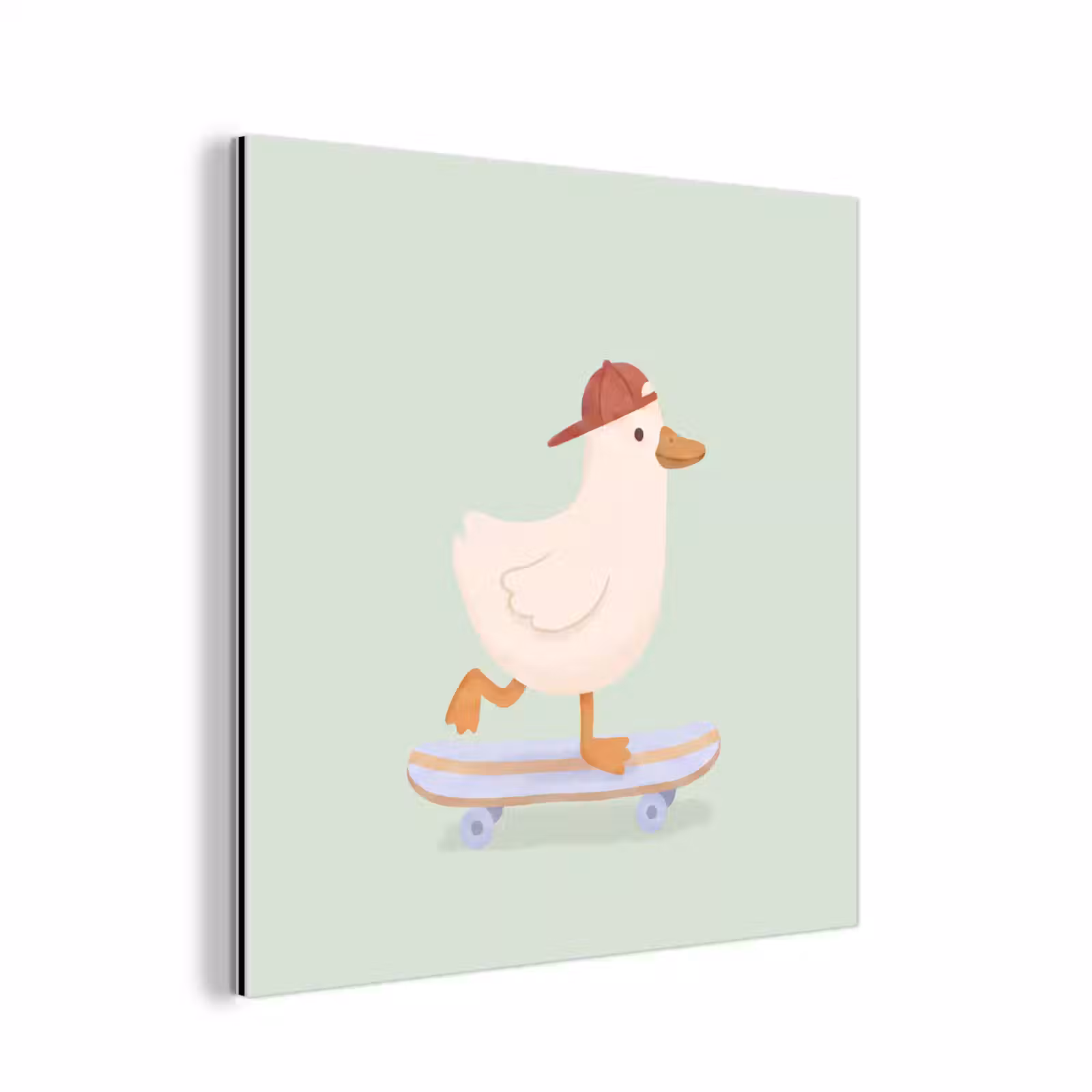 Alu-Dibond-Bild - Vogel – Skateboard – Tiere – Cartoon – Verspielt — 1