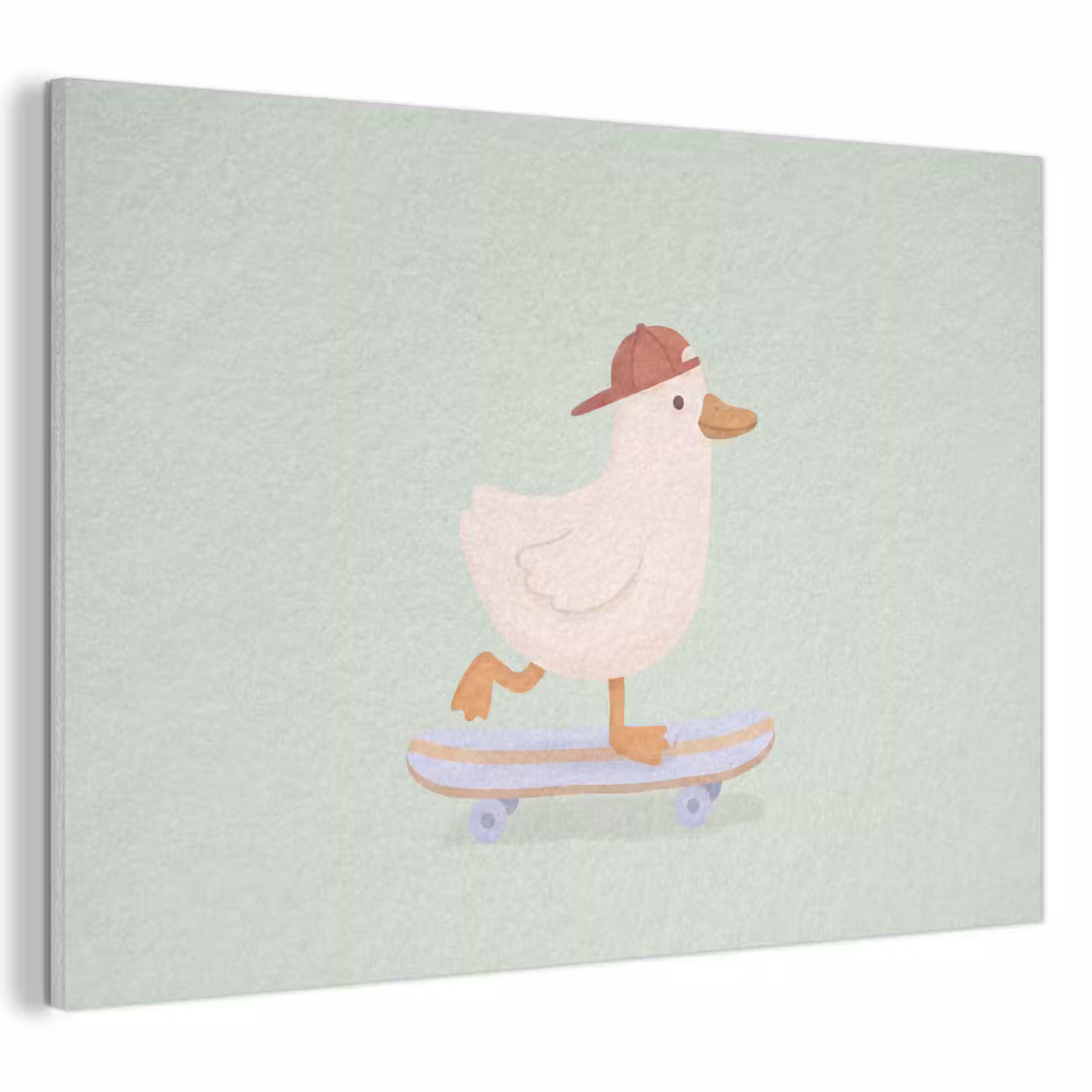 Akustikbild - Vogel – Skateboard – Tiere – Cartoon – Verspielt — 1