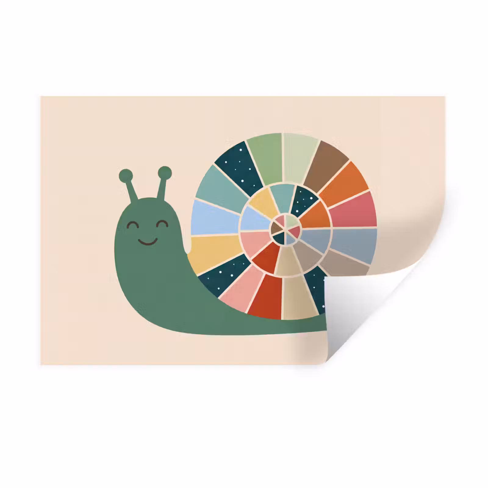 Wandtattoo – Tiere – Schnecke – Bunt – Illustration — 1
