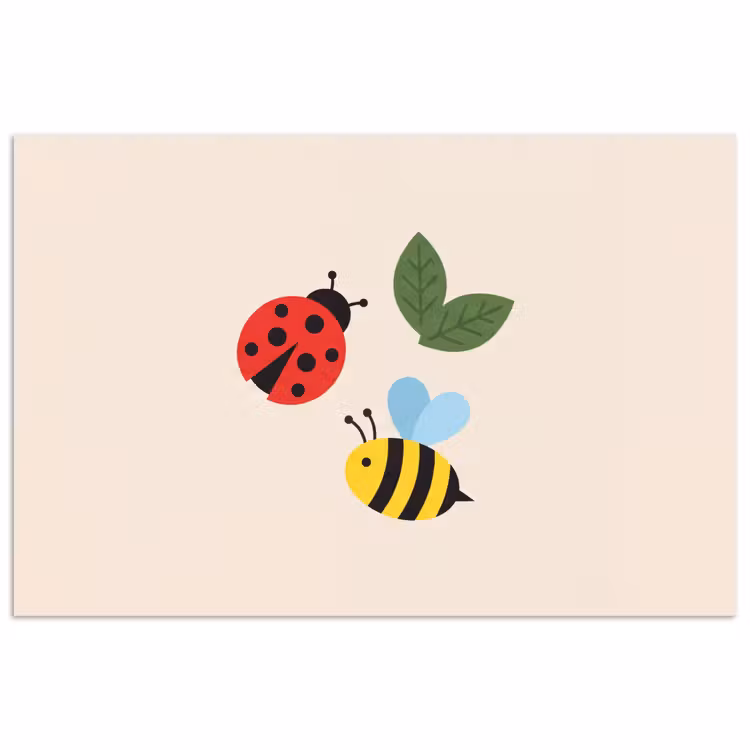 Poster - Insekt – Blatt – Natur – Verspielt – Illustration — 1