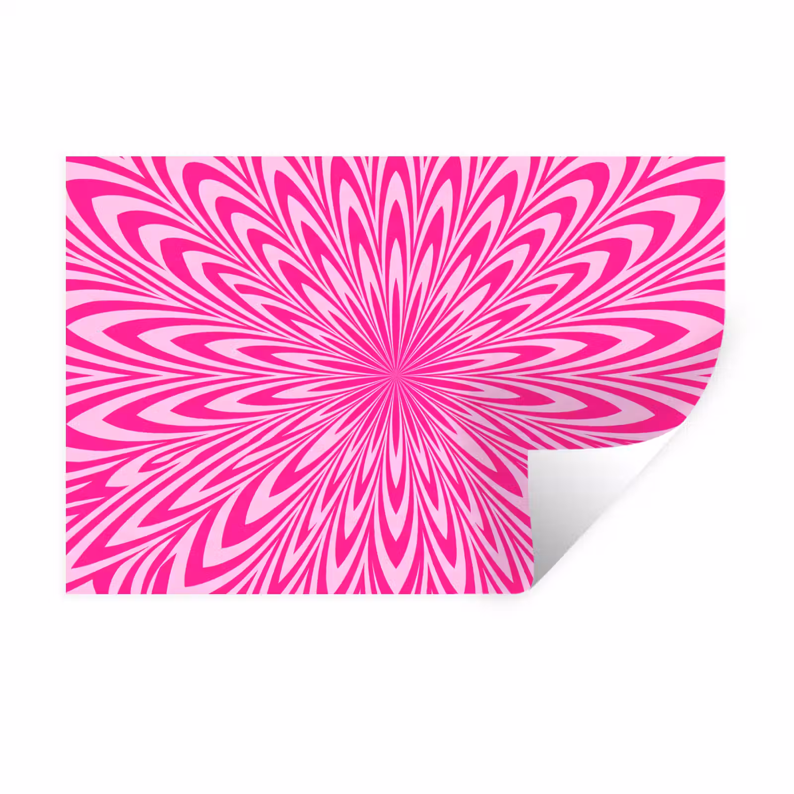 Wandtattoo – Muster – Optisch – Rosa — 1