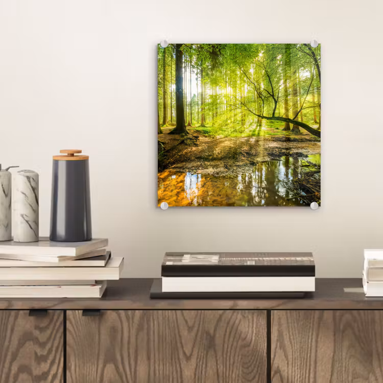 Glasbild - Wald - Landschaft - Wasser - Bäume - Sonne - Grün - Natur — 2