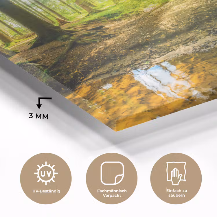 Glasbild - Wald - Landschaft - Wasser - Bäume - Sonne - Grün - Natur — 3