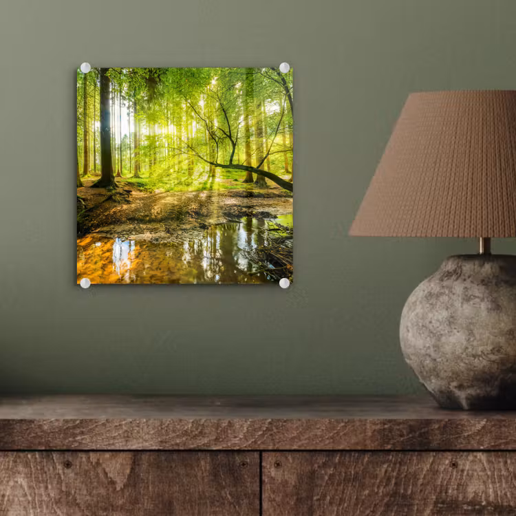 Glasbild - Wald - Landschaft - Wasser - Bäume - Sonne - Grün - Natur — 4