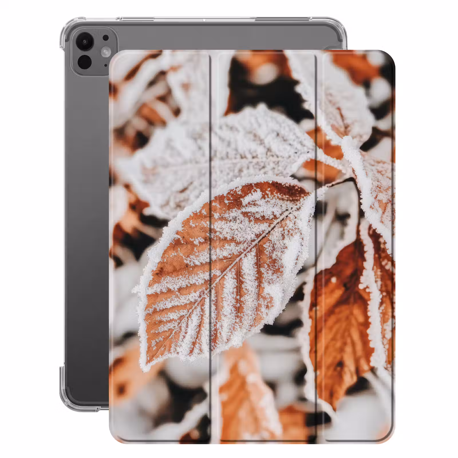iPad-Hülle - Laub - Eis - Winter - Natur — 1