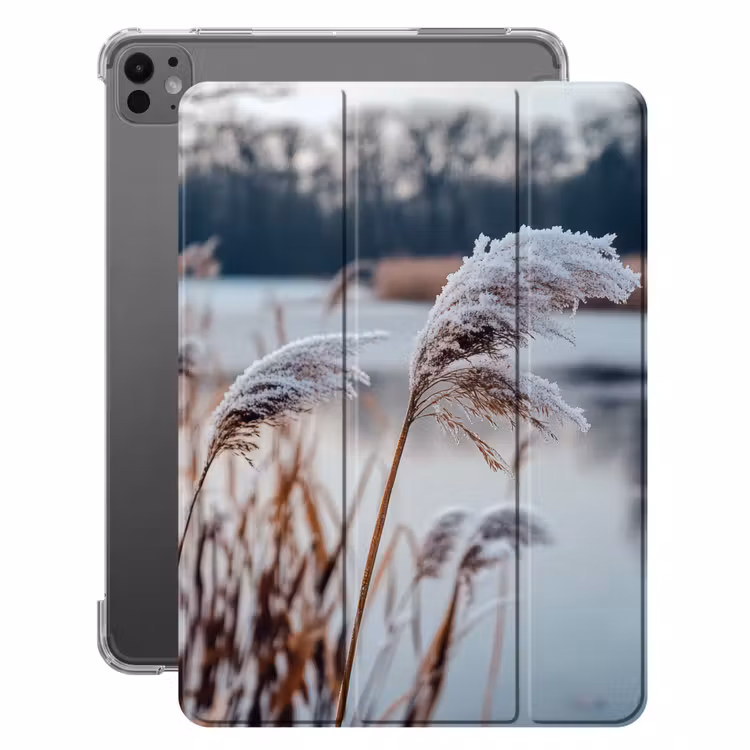 iPad-Hülle - Schilf - Gras - Natur - Winter - See — 1