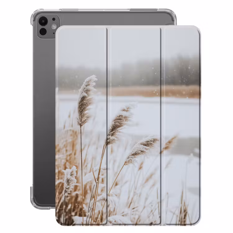 iPad-Hülle - Schilf - See - Winter - Natur - Schnee - Beige — 1