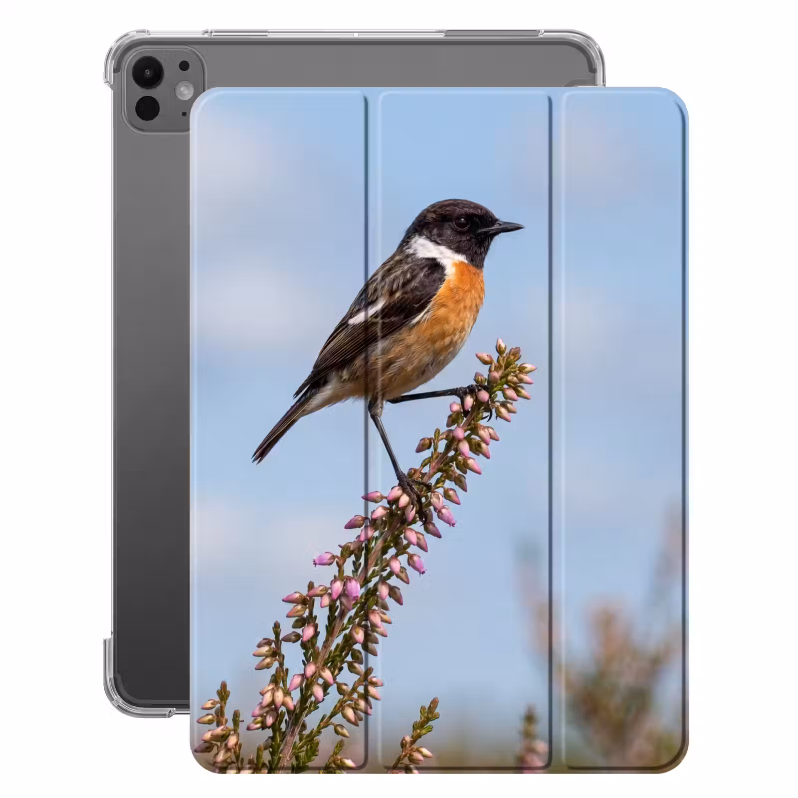iPad-Hülle - Schwarzkehlchen - Heidekraut - Lila - Natur - Atmosphärisch — 1