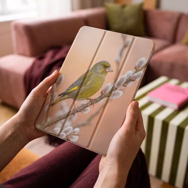 iPad-Hülle - Grünfink - Katzen - Frühling - Natur - Weich — 4