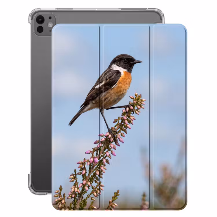 iPad-Hülle - Schwarzkehlchen - Heidekraut - Lila - Natur - Atmosphärisch — 1