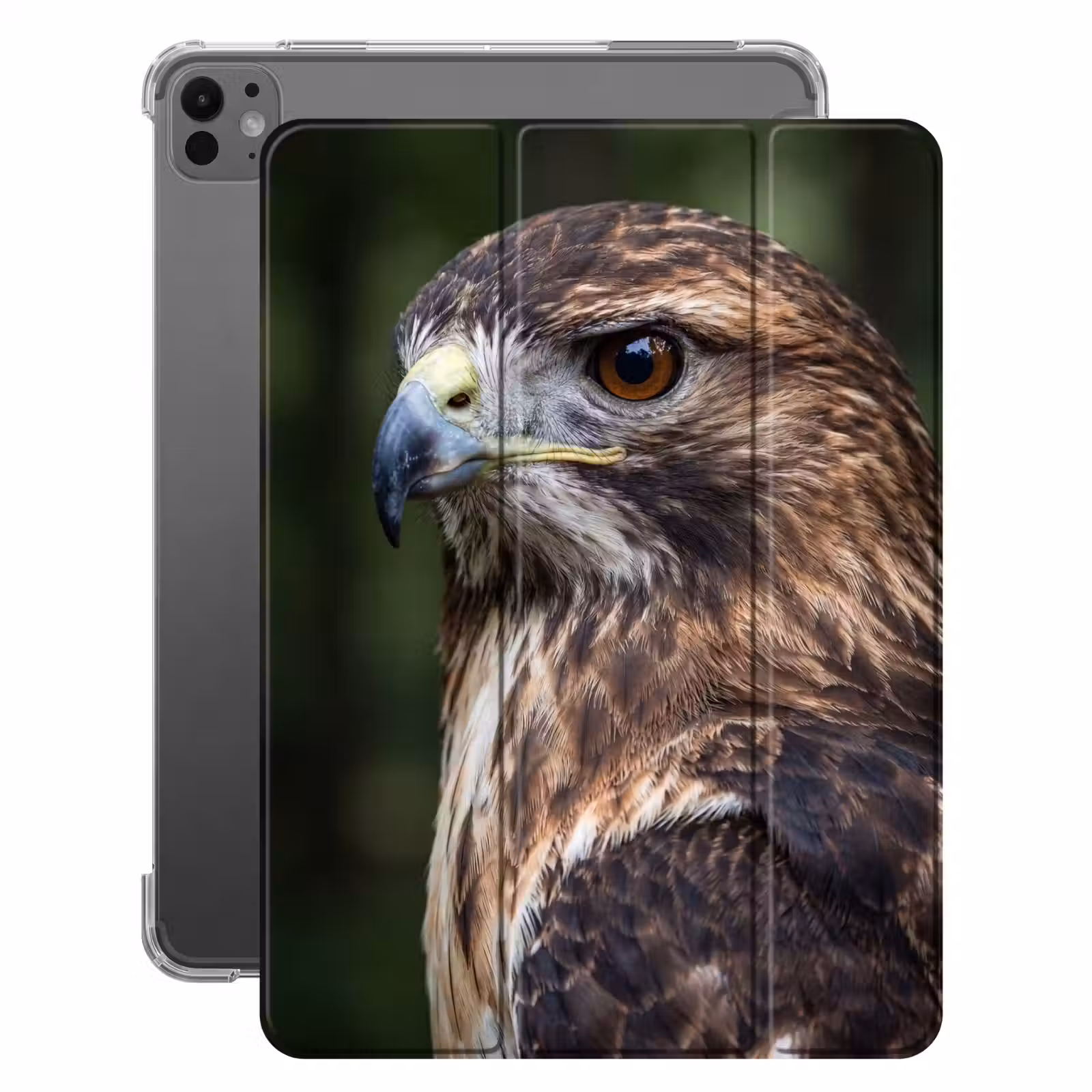 iPad-Hülle - Bussard - Raubvogel - Natur - Braun — 1