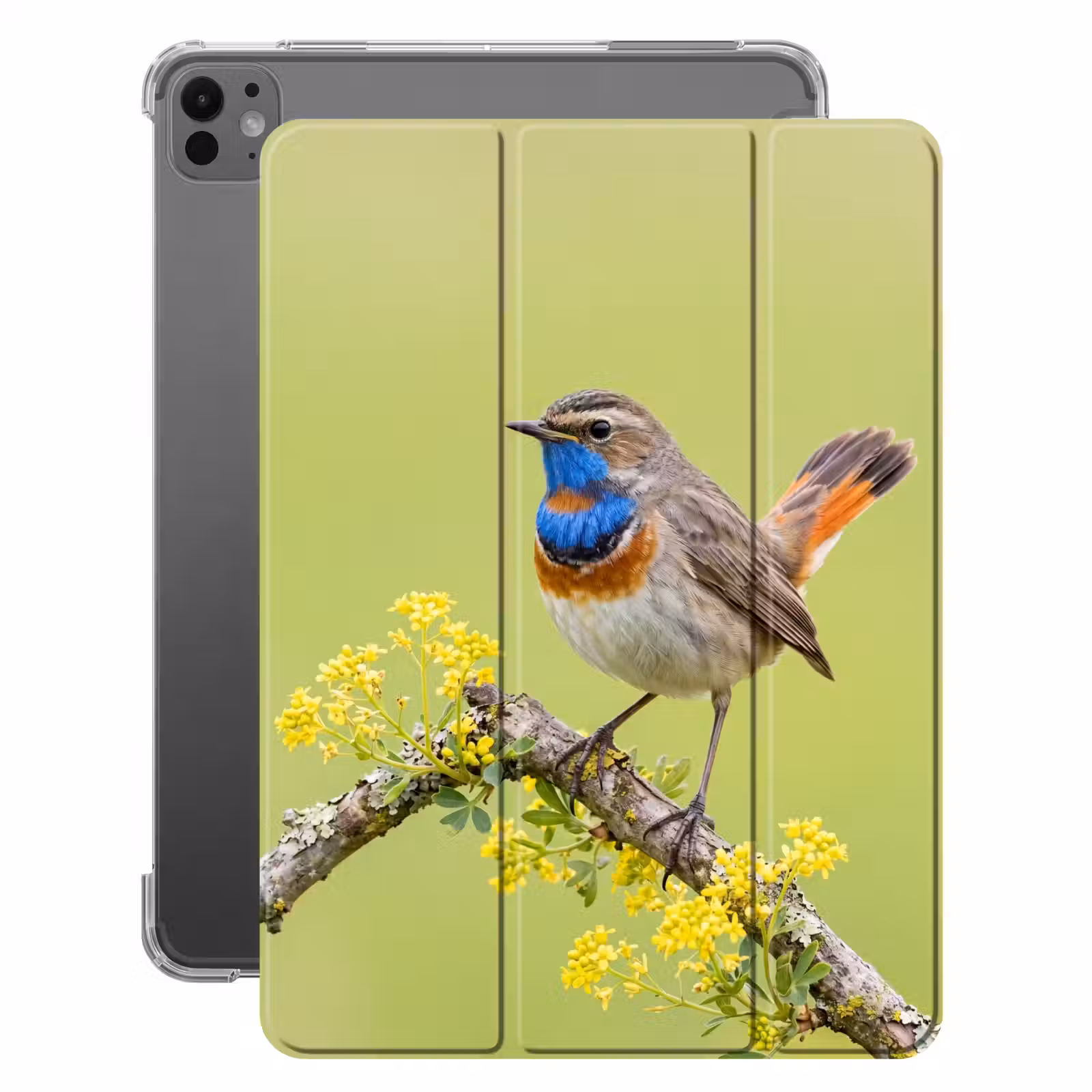 iPad-Hülle - Vogel - Zweig - Natur - Farbenfroh — 1