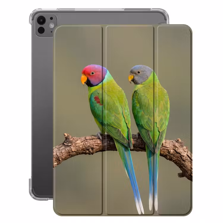 iPad-Hülle - Papagei - Zweig - Natur - Farbenfroh — 1