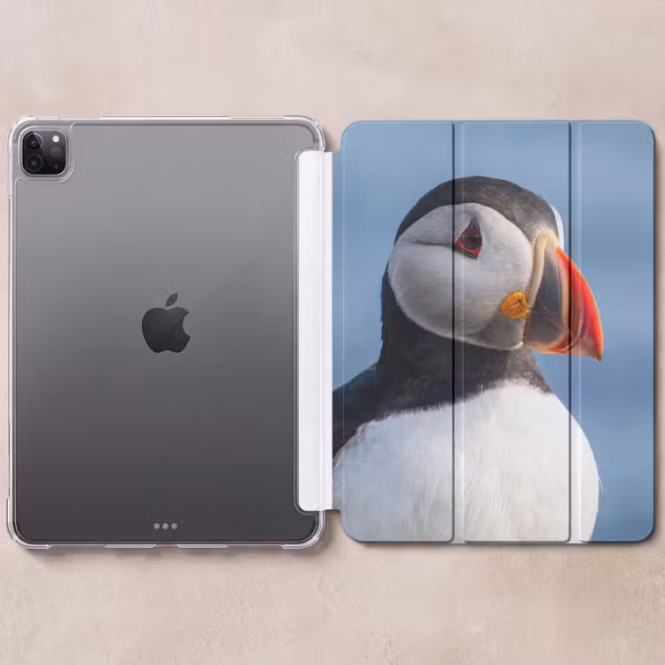 iPad-Hülle - Papageientaucher - Porträt - Natur — 6