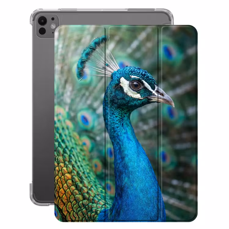 iPad-Hülle - Pfau - Federn - Blau — 1