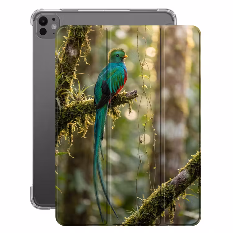 iPad-Hülle - Quetzal - Dschungel - Natur - Grün — 1