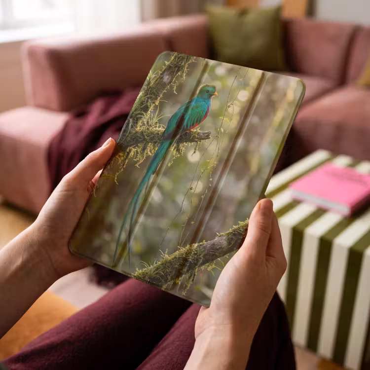 iPad-Hülle - Quetzal - Dschungel - Natur - Grün — 4