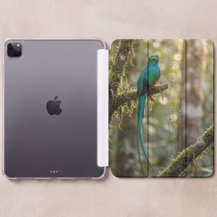 iPad-Hülle - Quetzal - Dschungel - Natur - Grün — 6