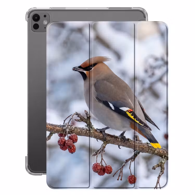 iPad-Hülle - Siebenschläfer - Beeren - Winter - Natur — 1