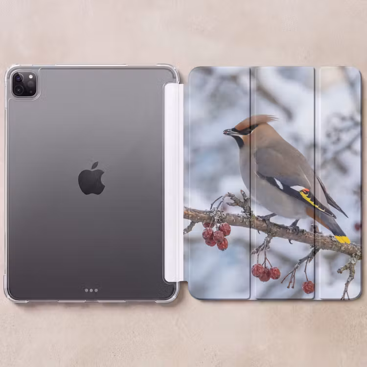 iPad-Hülle - Siebenschläfer - Beeren - Winter - Natur — 6