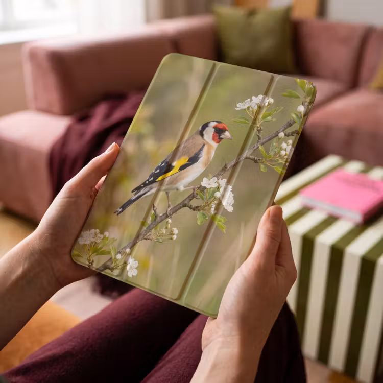 iPad-Hülle - Stieglitz - Blüte - Frühling - Natur - Farbenfroh — 4