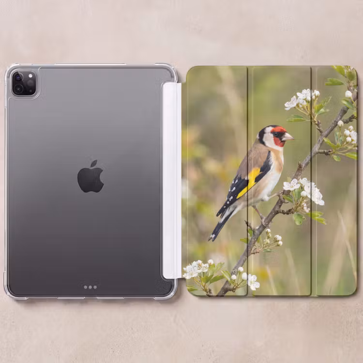 iPad-Hülle - Stieglitz - Blüte - Frühling - Natur - Farbenfroh — 6