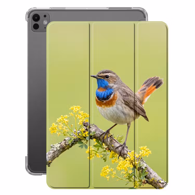 iPad-Hülle - Vogel - Zweig - Natur - Farbenfroh — 1