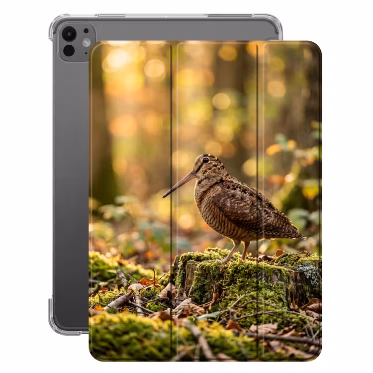 iPad-Hülle - Waldschnepfe - Wald - Laub - Herbst - Getarnt — 1