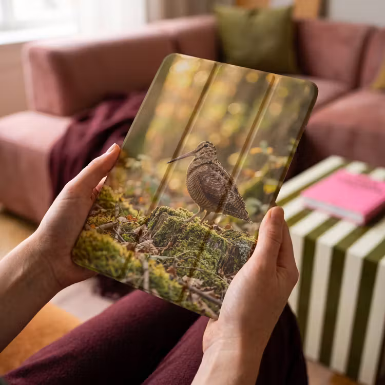 iPad-Hülle - Waldschnepfe - Wald - Laub - Herbst - Getarnt — 4